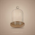 Glass Cloche with Wooden Base by Lumière Lux
