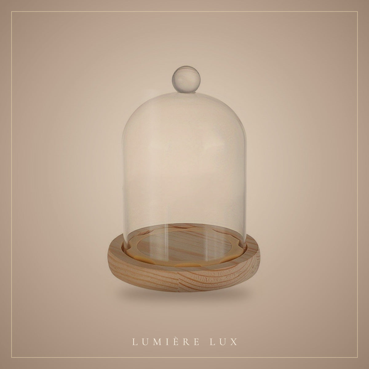 Glass Cloche with Wooden Base by Lumière Lux